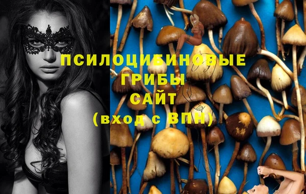 твердый Волоколамск