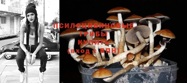 гашик Володарск