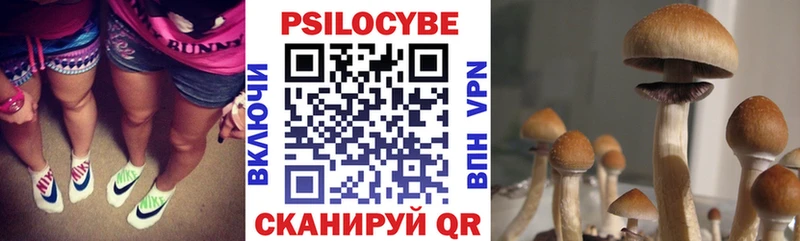 Псилоцибиновые грибы GOLDEN TEACHER  где можно купить наркотик  Порхов 